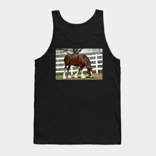 Clydesdale Tank Top